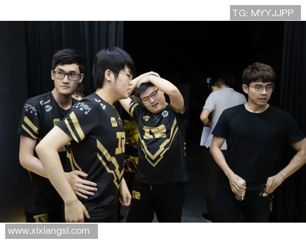 RNG战队进攻策略分析与得失总结探讨 RNG战队进攻策略分析与得失总结探讨