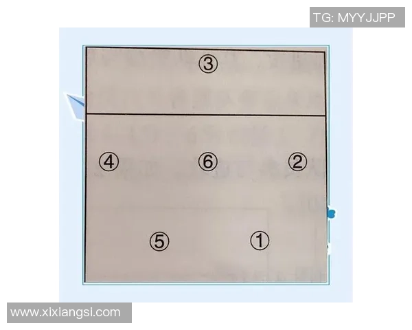 深入分析杭州排球队的进攻策略与战术特点 深入分析杭州排球队的进攻策略与战术特点